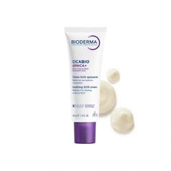 ディアステマDiastema cf. fimbriatoloba 54c9a2620cd98cefeba9ade4d785.png